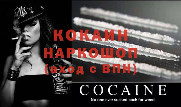 индика Апатиты