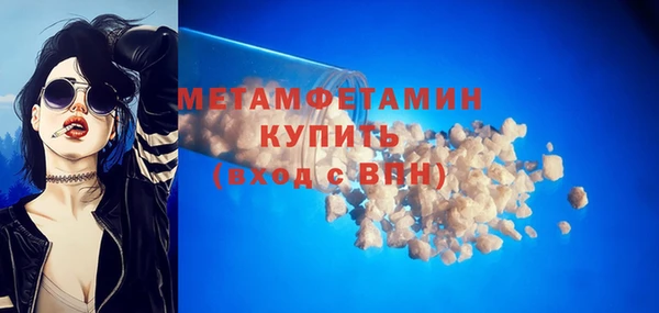 индика Апатиты