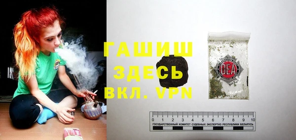 индика Апатиты
