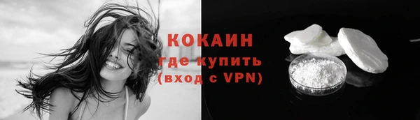 индика Апатиты