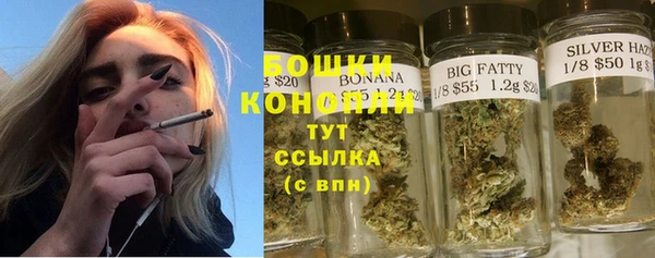 индика Апатиты
