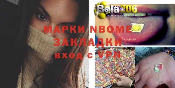 индика Апатиты