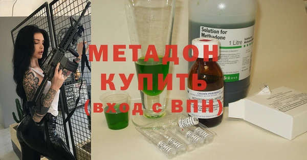 индика Апатиты