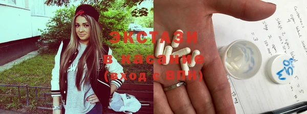индика Апатиты