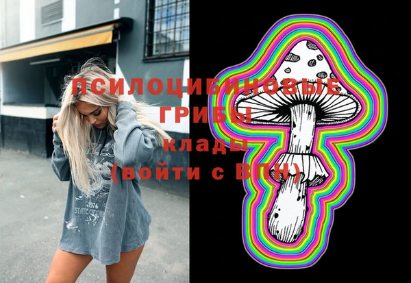 индика Апатиты