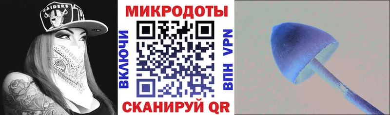 Псилоцибиновые грибы мицелий  Купить где  Алатырь 
